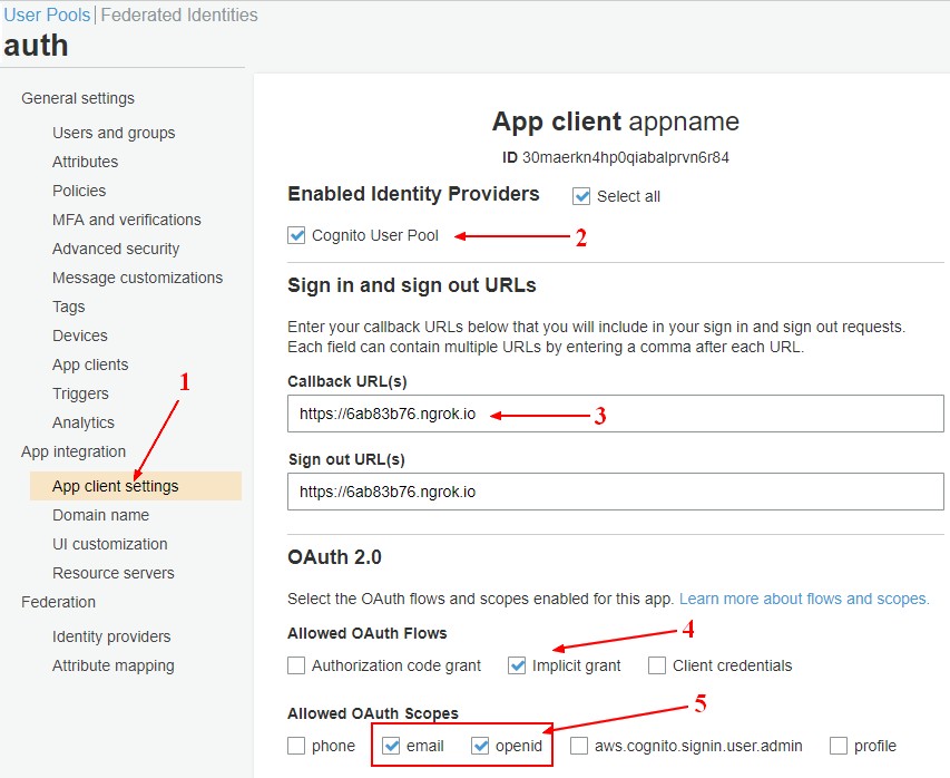 Cognito Js Auth App Client Settings