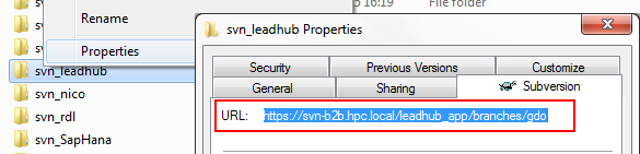 Svn Branch Creation Switch Verification