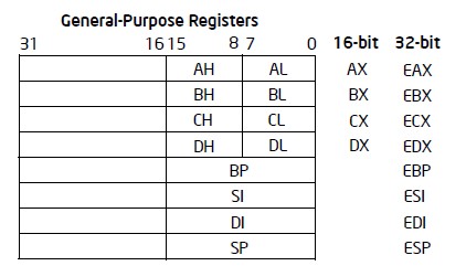 General Purpose Register 16 32 Bit