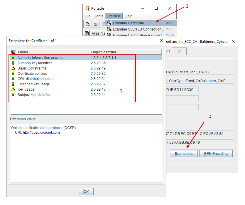 Protecle Certificate Extensions