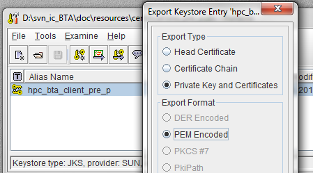 Porte Cle Keystore Pem