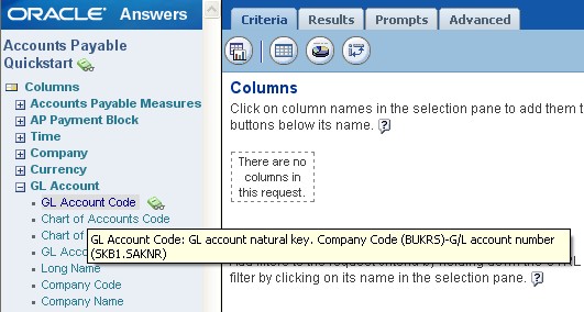 Obiee Complement Answerdescription