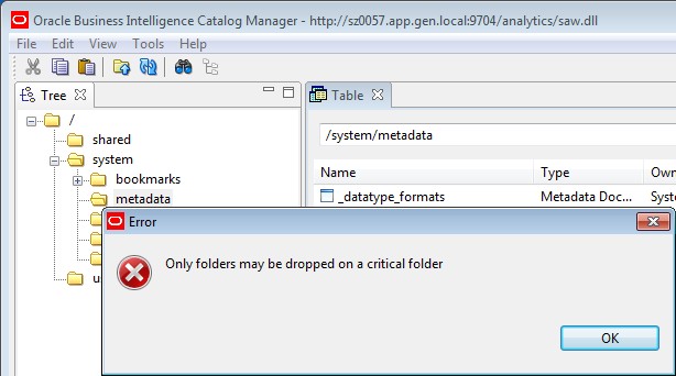 Obiee Webcat Critical Folder