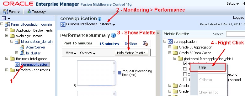 Obiee11g Metrics Palette Help