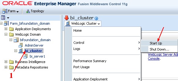 Obiee 11g Em Startup Bicluster