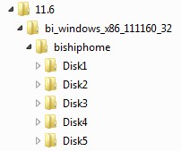 Obiee 11g Installer Directory Structure