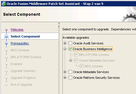 Obiee Psa Step Select Component