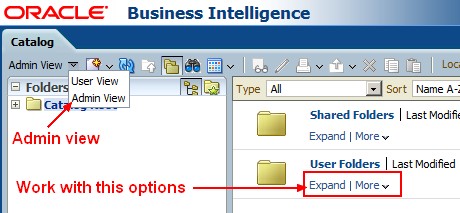 Obiee11g Catalog Admin View