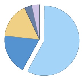 Obiee 10g Graph Pie