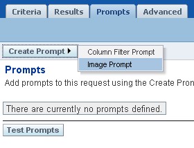 Obiee Answer Prompt 2