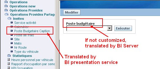 Obiee Caption Prompt