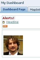 Obiee Dashboard Object Image
