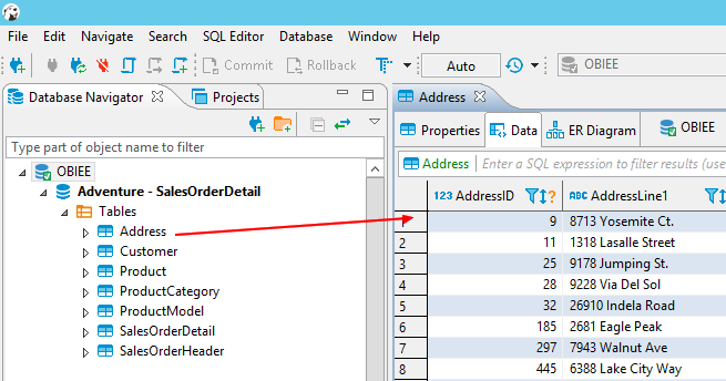 Dbeaver Connection Obiee Table Data