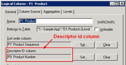Obiee11g Descriptor Id Column