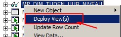 Obiee Deploy View