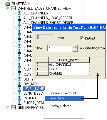 Obiee Olap Dimension Level