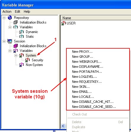 Obiee System Variable