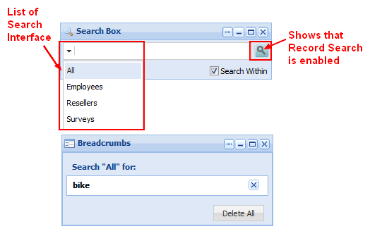 Endeca Record Search
