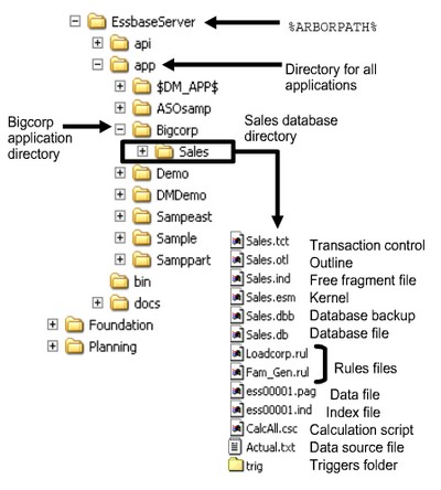 Essbase Folders Structure