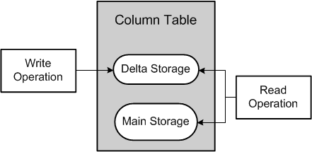 Hana Column Store Write Read Operations