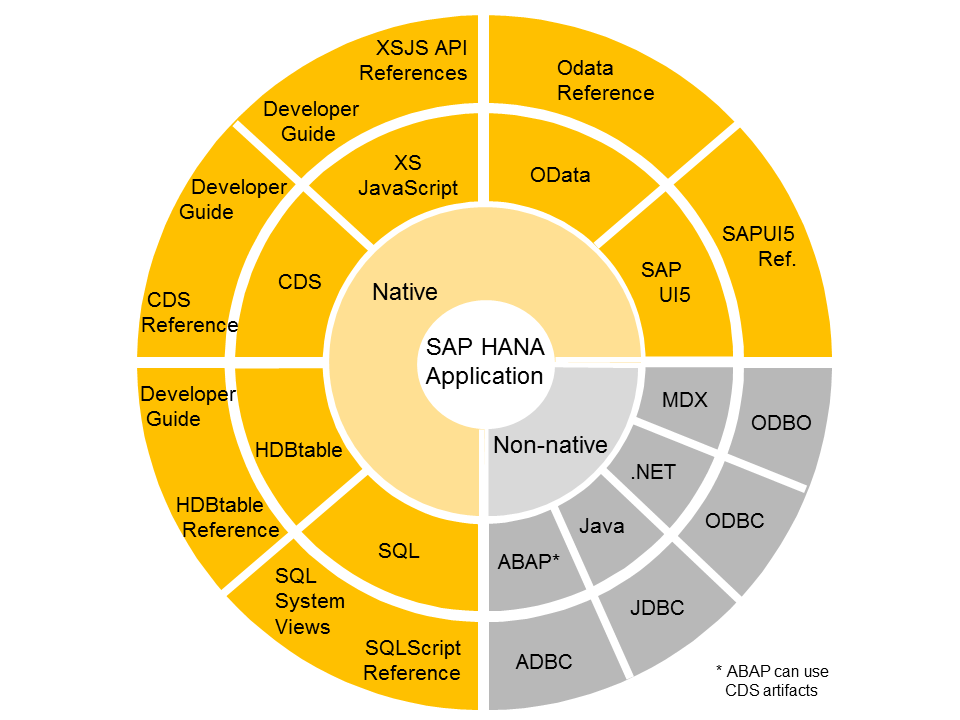 Sap Hana Developement Language
