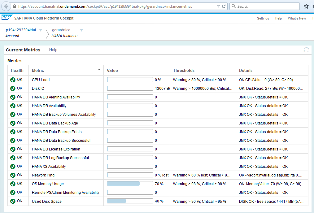 Sap Hana Instance Metrics