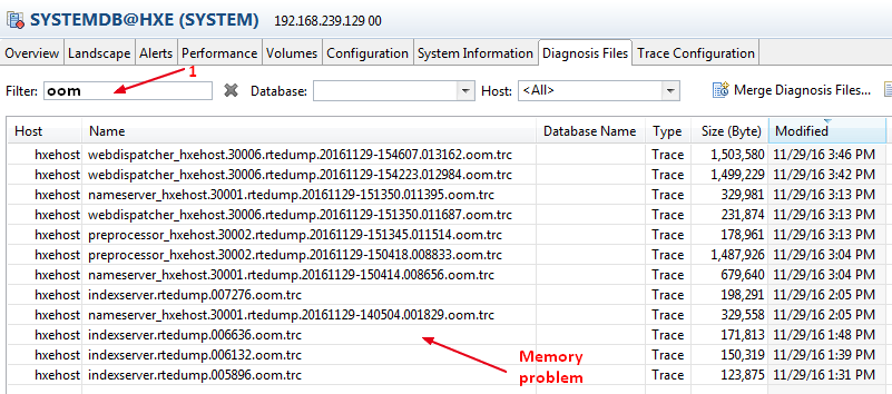 Sap Hana Memory Problem Dump