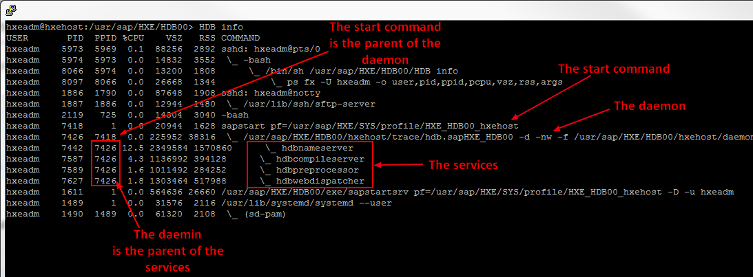 Sap Hana Start Stop Process