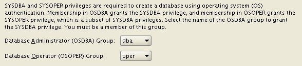 Oracle Database 11gr2 Os Group