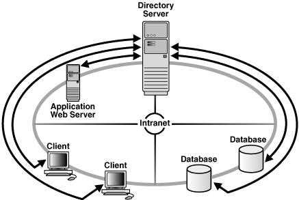 Oracle Database Net Ldap