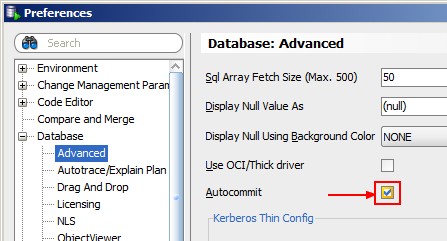 Sql Developer Preference Autocommit