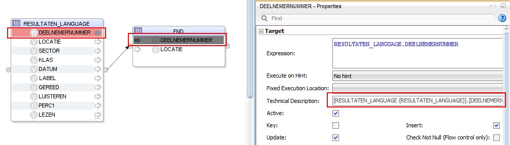 Odi Endeca Mapping Target Source Column