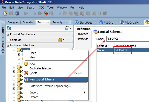 Odi Orcl Logical Schema Definition