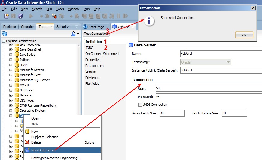 Odi Orcl Physical Server Definition