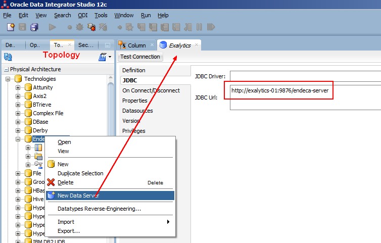 Odi Topology Endeca Server