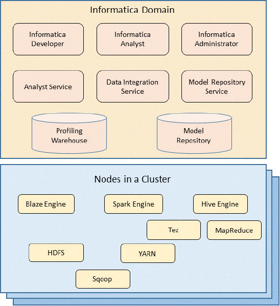 Bdm Component