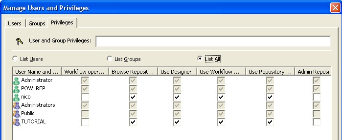 Powercenter Privileges