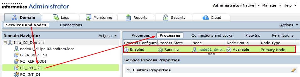 Powercenter Repository Service