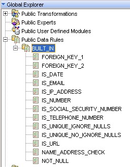 Global Explorer Public Data Rule