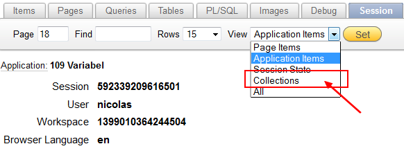 Oracle Apex Session Collection