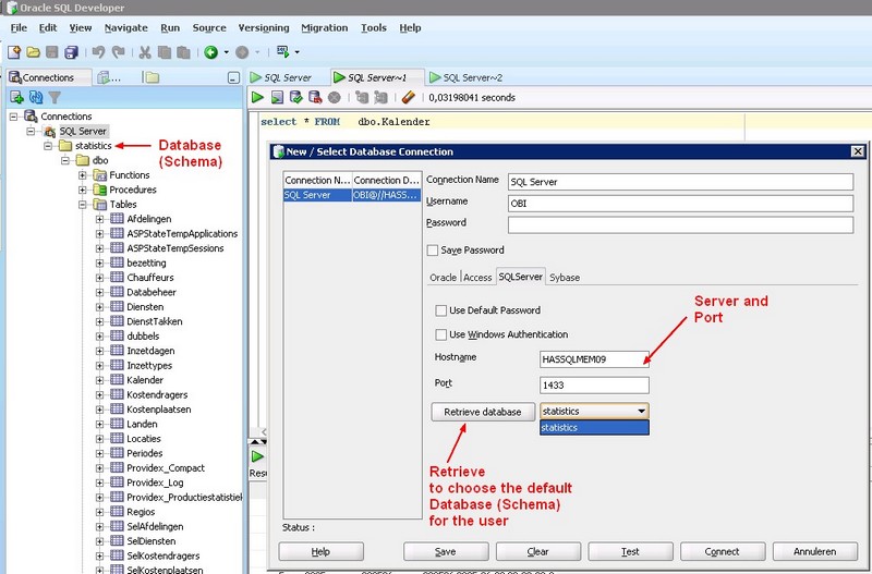 Sqldeveloper Sql Server Parameters