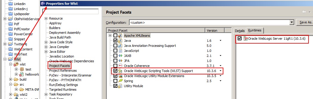 Eclipse Oepe Wlst Project Facet