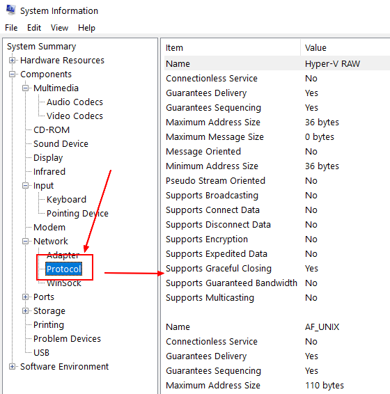 Windows Network Protocol Sysinfo