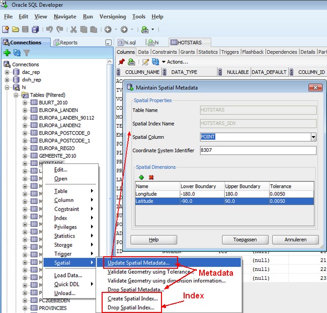 Sql Developer Update Spatial Metadata