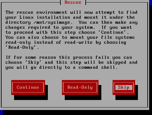 Linux Skip Mounting File System