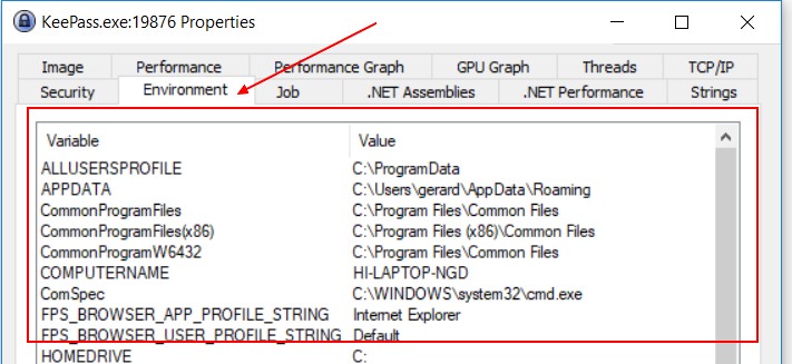 Process Explorer Environment