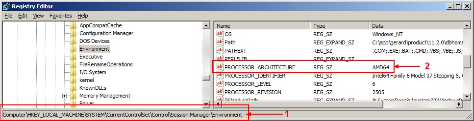Windows Processor Architecture Registry