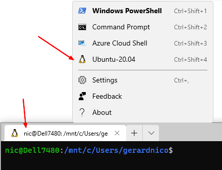 Wsl2 Windows Terminal