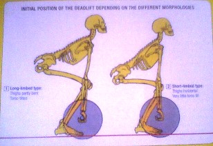Long Limbed Deadlift