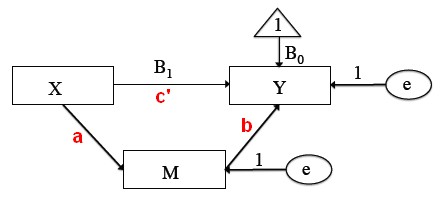 Path Model Simple Regression With Moderator